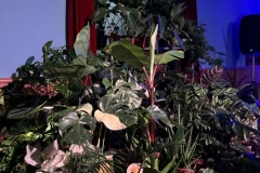 IMG_4352-dimensioni-grandi