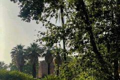 ESTATE TROPICALE 26 - 14
