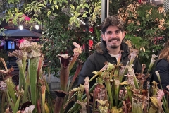 5_grain1-dimensioni-grandi