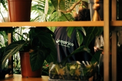 roma-tropicale-17-dimensioni-grandi