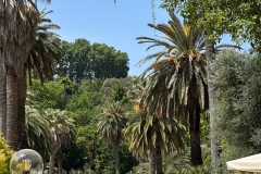 posting fuori mercato orto botanico - 10