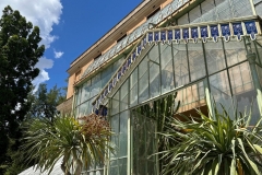 posting fuori mercato orto botanico - 17
