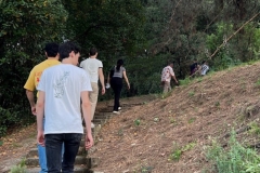 posting fuori mercato orto botanico - 18