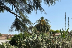 posting fuori mercato orto botanico - 19