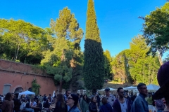 posting festival tropicale - 7
