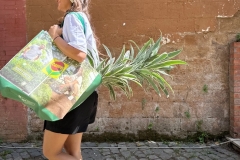 posting festival tropicale - 9