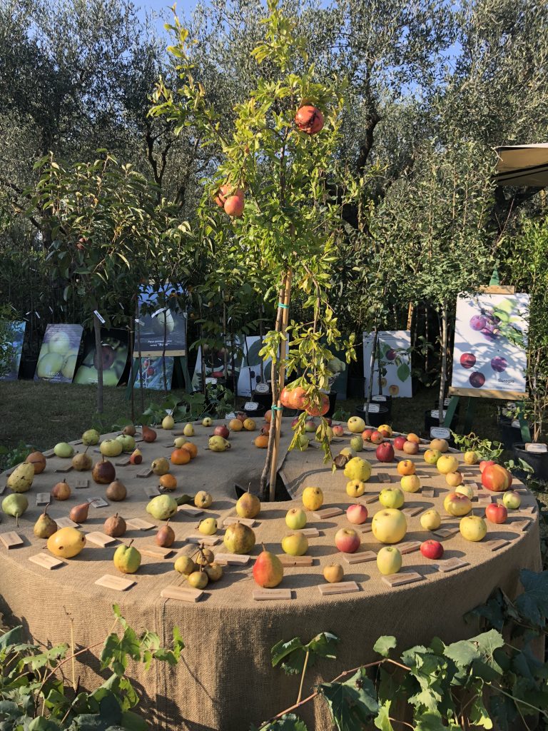 giardini della landriana 4