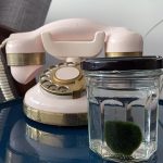 marimo_Algapalla_4