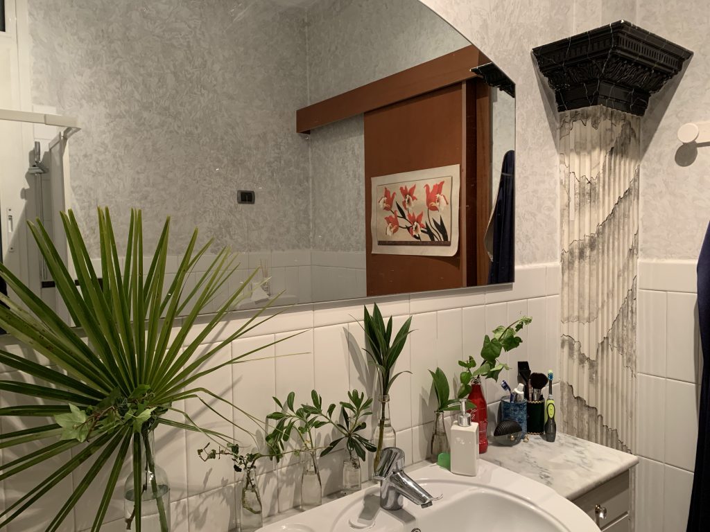 romatropicale-community_piante_5