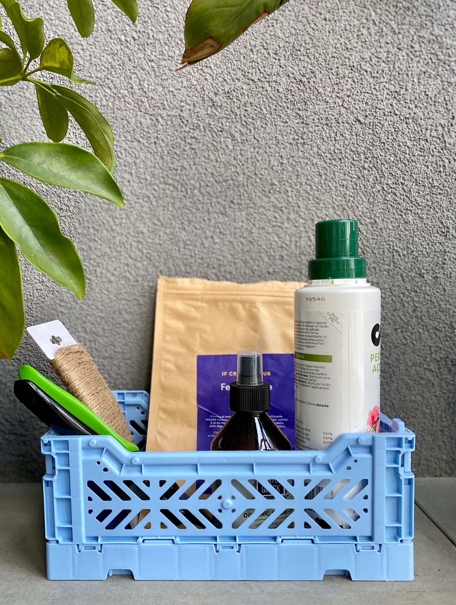 CONCIMI: COME SCEGLIERLI?