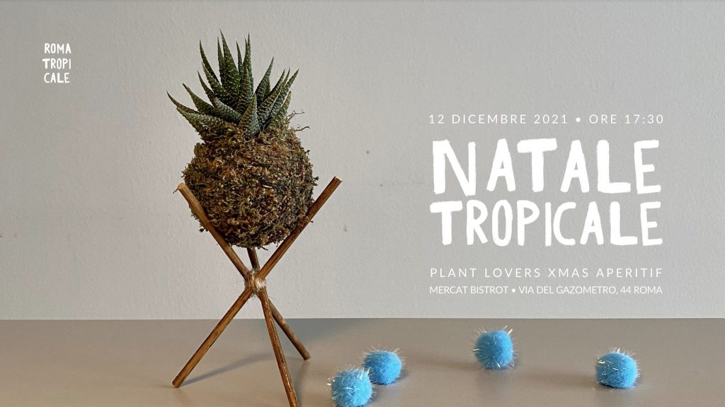 natale tropicale evento