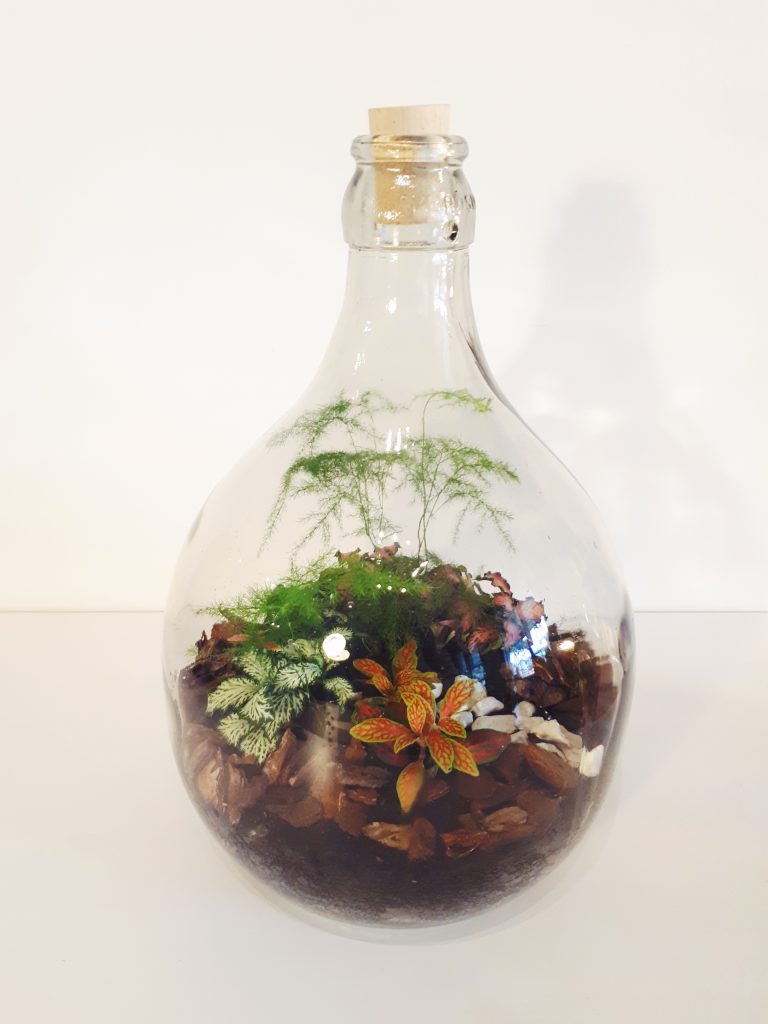 natale idee regalo green