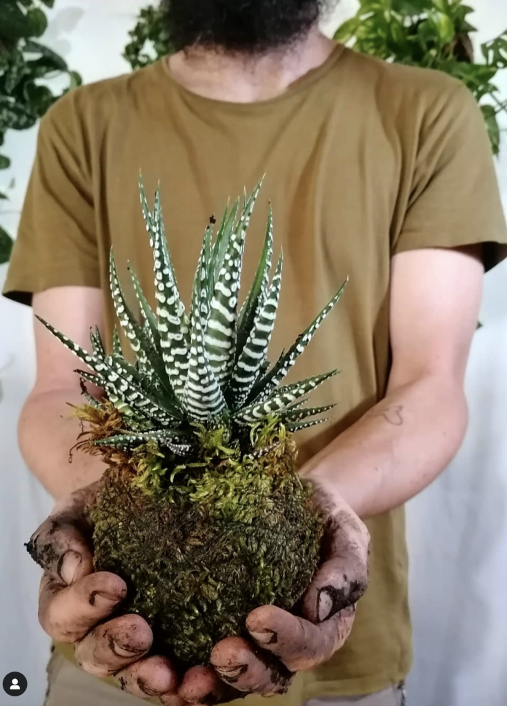 kokedama