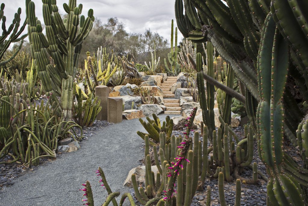 GANNA WALSKA LOTUSLAND