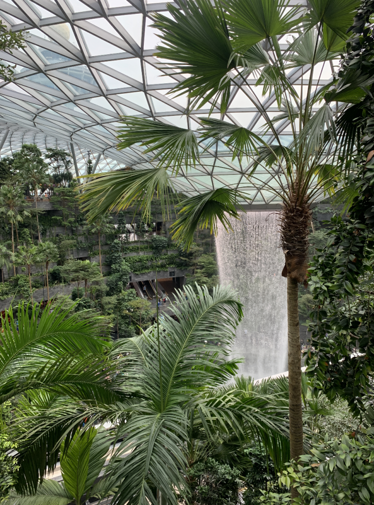 Singapore piante