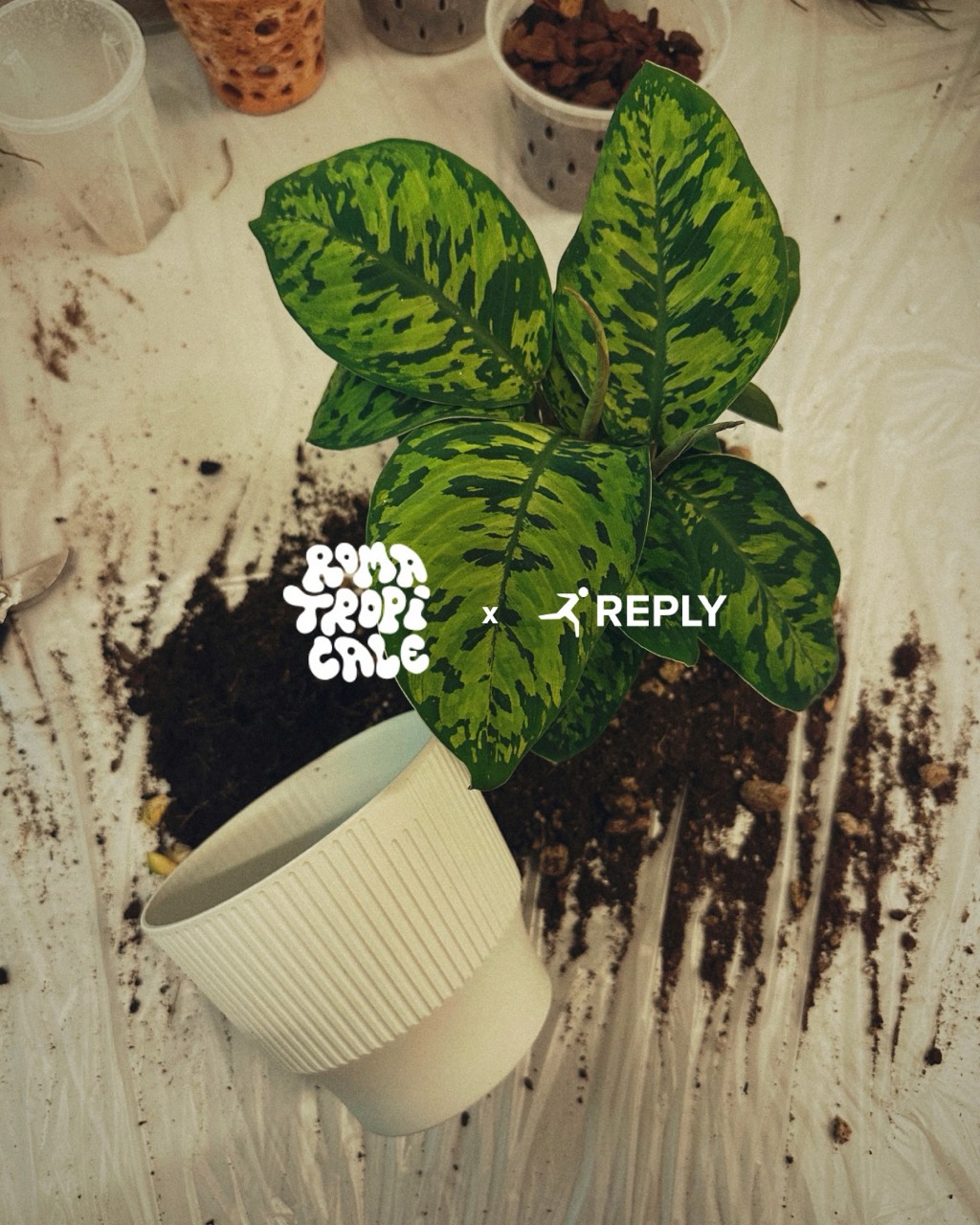 LET’S WORKSHOP • ROMA TROPICALE x REPLY
